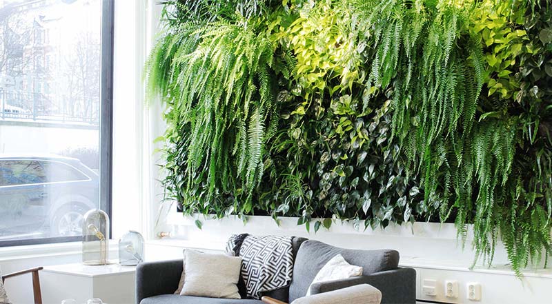 jardin para terraza